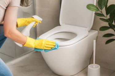Toilette : comment bien choisir et entretenir ses sanitaires au quotidien