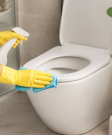 Toilette : comment bien choisir et entretenir ses sanitaires au quotidien