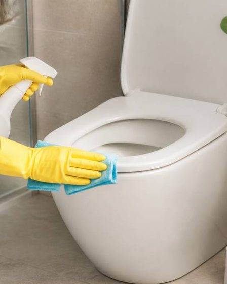Toilette : comment bien choisir et entretenir ses sanitaires au quotidien
