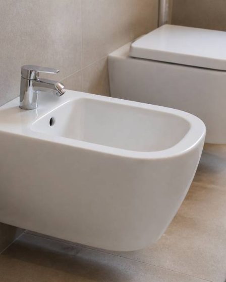 Was ist ein bidet : fonctionnement, usages et installation