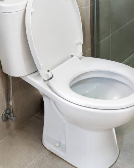 Wc spülung läuft : causes et solutions pour arrêter la fuite d’eau